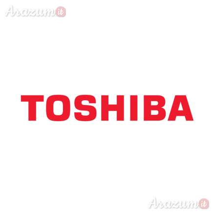 Riparazioni Assistenza ufficiale Toshiba