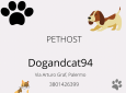 Pet Sitter e Pethost ( Dogandcat94)