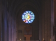 Organista matrimonio