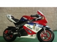 MINIMOTO GP RACING