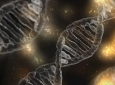 Laureato impartisce lezioni/ripetizioni di biologia a studenti delle superiori
