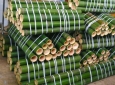 Vendo canne di bambù bambu con diametro da 1 a 10 cm.