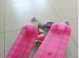 STEPPER PER ADULTI