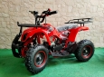 MINIQUAD HUMMER XXL R6
