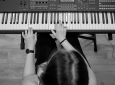 Docente di Pianoforte laureata in Conservatorio offre lezioni private
