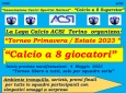 Torneo amatoriale di calcio a 8 