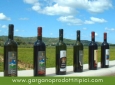 I Vini e gli Olii del Gargano | Tenute Cantine Cimaglia