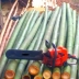 Vendo canne di bambù bambu con diametro da 1 a 10 cm. 6