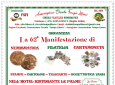 Collezionismo: torna il 28 e 29 giugno 2024 il Memorial Correale