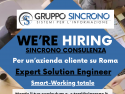 Expert Solution Engineer