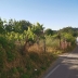 Pozzuoli Terreno con tre rustici sovrastanti 6