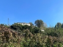 Monte Sant' Angelo Interessante appezzamento terreno a vigneto