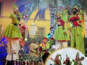 ARRIVANO GLI ELFI ANIMAZIONE ITINERANTE DI NATALE PER LE VIE DELLA TUA CITTA’ – EVENTI AZIENDALI