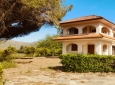 Villa Paino