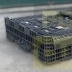 CASSONI IN PLASTICA USATI CASSE PALLET