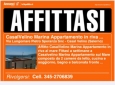 Affitto Casal Velino appartamento sul mare