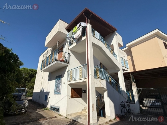 119 Velia