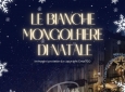 BIANCHE MONGOLFIERE DI NATALE - SFILATA E ANIMAZIONE SUI TRAMPOLI – ANIMARE E INCENTIVARE LO SHOPING NATALIZIO IN UN UNICO SPETTACOLO – EVENTI AZIENDALI - EVENTI PRIVATI -EVENTI PUBBLICI