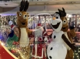 NATALE IN ALLEGRIA- SFILATA E ANIMAZIONE SUI TRAMPOLI – ANIMARE E INCENTIVARE LO SHOPING NATALIZIO IN UN UNICO SPETTACOLO – EVENTI AZIENDALI - EVENTI PRIVATI -EVENTI PUBBLICI