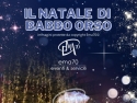 IL NATALE DI BABBO ORSO- SFILATA E ANIMAZIONE SUI TRAMPOLI – ANIMARE E INCENTIVARE LO SHOPING NATALIZIO IN UN UNICO SPETTACOLO – EVENTI AZIENDALI - EVENTI PRIVATI -EVENTI PUBBLICI