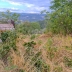 Casa cielo terra di 7