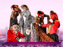 ANIMAL SHOW