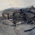 Bicicletta Pieghevole Folding 20 pratica e adattabile a ogni altezza. 3