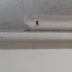 Scuri interni x finestre in Legno verniciati 5