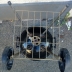 Barbecue trasportabile richiudibile 5