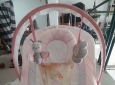 Sdraietta Felicity Floral con musica incorporata, colore rosa,