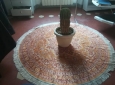 Cactus Equinopsis multi Fiori continui profumati