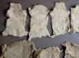 Pelli di Agnello o Pecora nuove