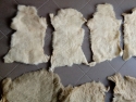 Pelli di Agnello o Pecora nuove