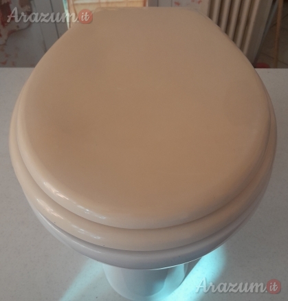 WC Water Vaso Pozzi Ginori completo di tavoletta