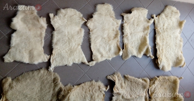 Pelli di Agnello o Pecora nuove