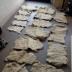Pelli di Agnello o Pecora nuove 2