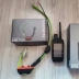 Set Garmin Alpha 300 (dispositivo portatile) e Alpha TT 25 (collare GPS per tracciamento e addestramento cani)