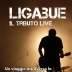 TRIBUTO VOCI FEMMINILI LADIES OF SOUL–TRIBUTO - CONCERTO MUSICA LIVE- PER EVENTI AZIENDALI - EVENTI PRIVATI - EVENTI PUBBLICI 3